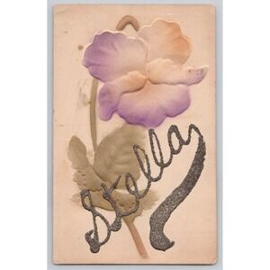 Embossed Handwritten "Stella" Glitter Purple Flower Birthday c1900s POSTCARD